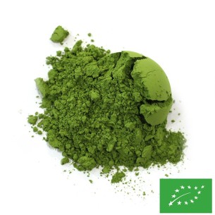 MATCHA PREMIUM CERTIFIÉ BIO 2