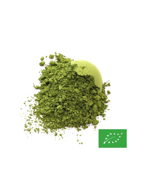 MATCHA KURASHIKU CERTIFIÉ BIO 30G