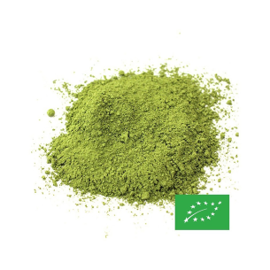 MATCHA CULINAIRE CERTIFIÉ BIO 100G