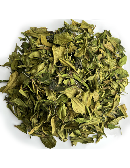 WHITE TEA QUI YUN TTES23 PRE-QINGMING