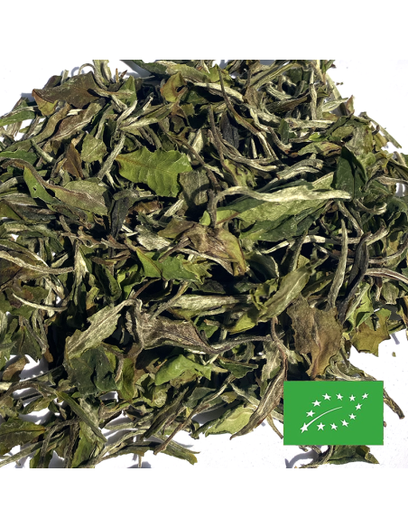 JUN CHIYABARI AV2 WHITE FIRST FLUSH CERTIFIÉ BIO