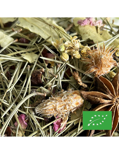 PETITE AIGUILLE VERTE ORGANIC CERTIFIED