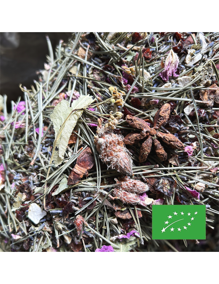 PETITE AIGUILLE VERTE ORGANIC CERTIFIED